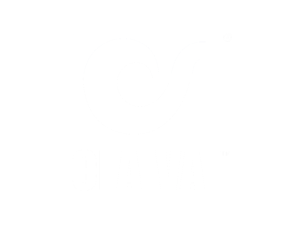 https://s3.us-east-2.amazonaws.com/waterforpeople.org/2023/07/Cla-Val-logo-white-web-sized.png