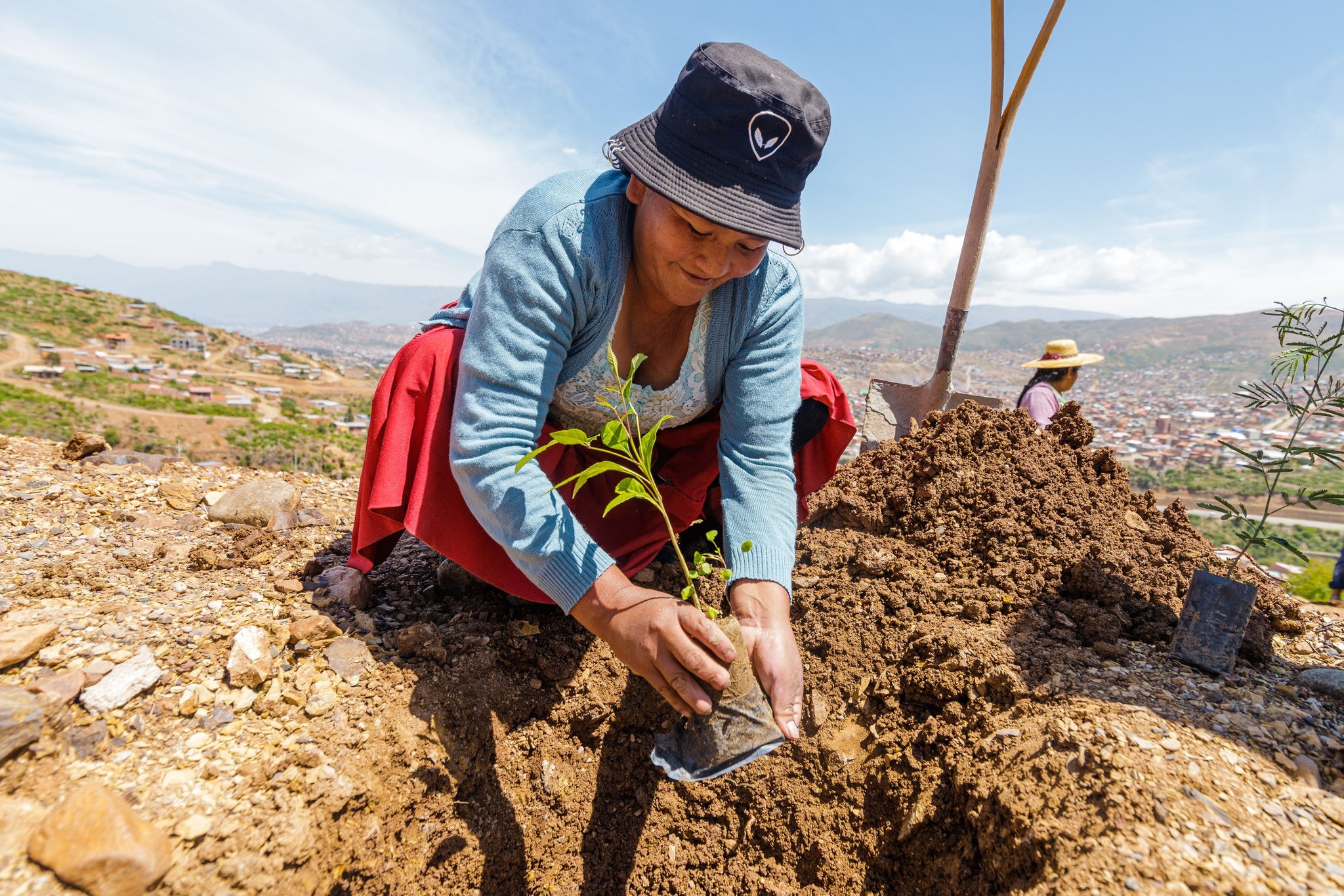 Arbieto_Planting_Older-1