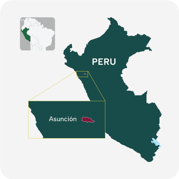 Peru Case Study