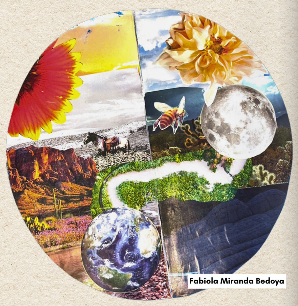 Art by Fabiola Miranda Bedoya, excerpt from the Zine by the Southern Arizona Water Leadership Institute