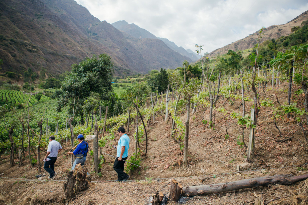 Peru_Cascas_Working_Header_fullsize