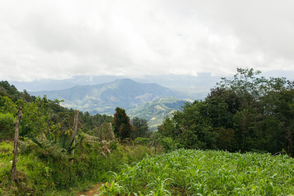 Guatemala04_SanAndres_LaCumbre_20190627-15