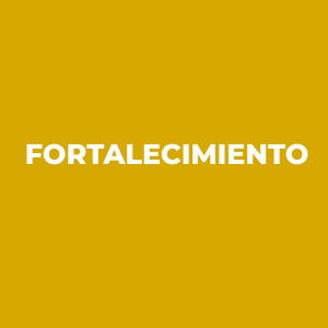 Fortalecimiento
