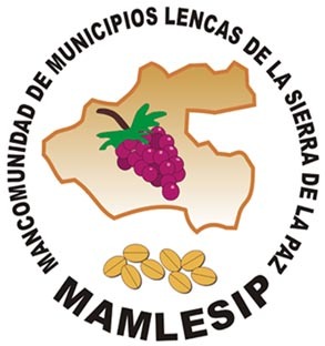 https://s3.us-east-2.amazonaws.com/waterforpeople.org/sites/5/2021/05/MAMLESIP.jpg