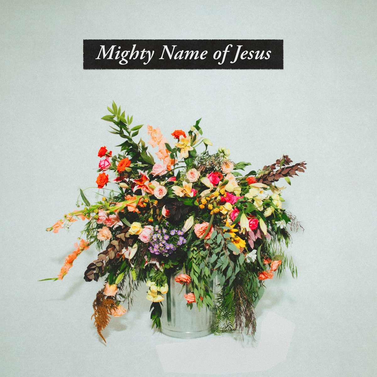 Mighty Name of Jesus (Live) by Hope Darst - MultiTracks | Loop