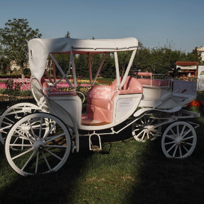 Wedding Carriages