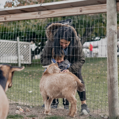 Petting zoos