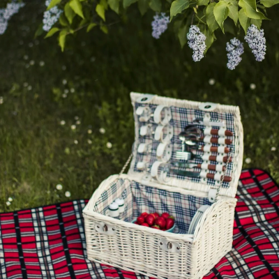Picnics