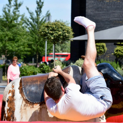 Mechanical bulls