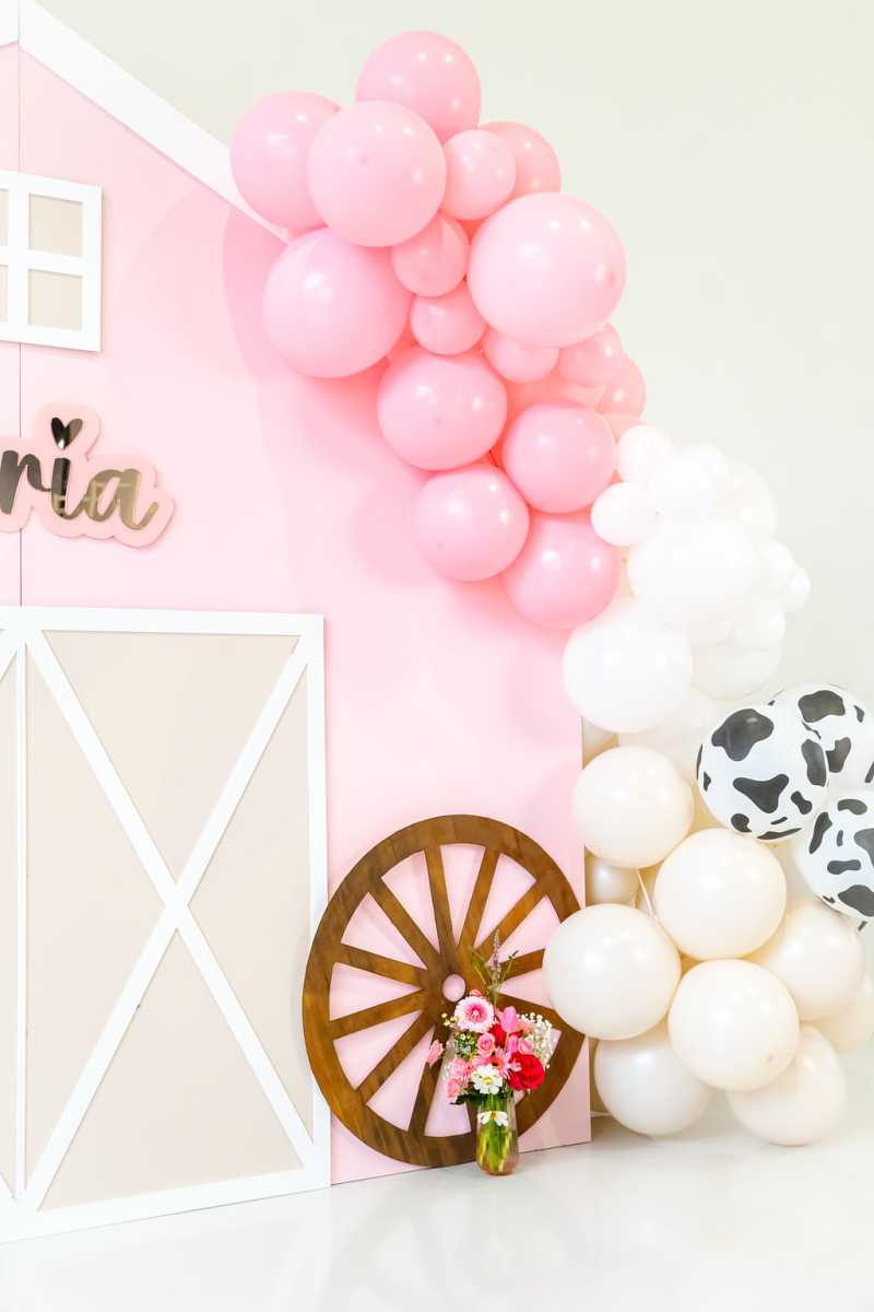 Farm Yard Party Package thumbnail 3