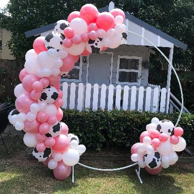 Balloon Garland + Circle Frame: Structured thumbnail 2