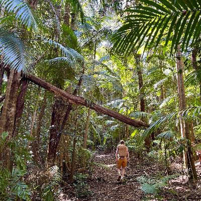 Byron Bay Hinterland Wedding Venue - Ceremony, Reception Styling + Florals (Weekend) thumbnail 4