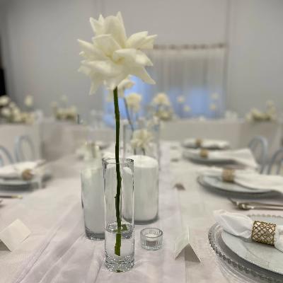 Clear Bud Vases (22cm)