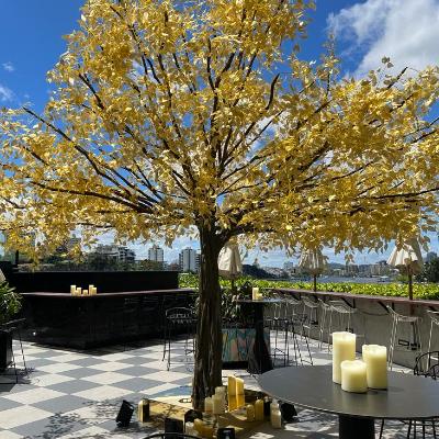 5m Gold Tree thumbnail 1