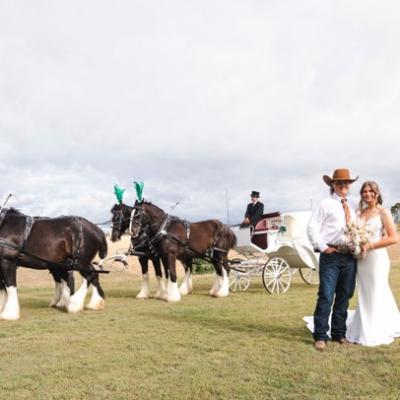Traditional Wedding Horse & Carriage-Platinum Package thumbnail 3