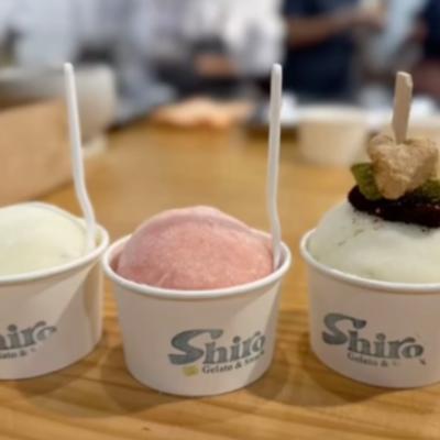 Gelato Food Truck Package- (271-300 people) thumbnail 2