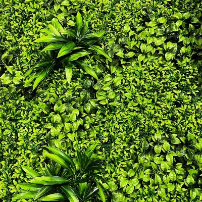 Floral & Greenery Backdrops thumbnail 5