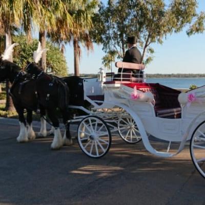 Traditional Wedding Horse & Carriage-Gold Package thumbnail 3