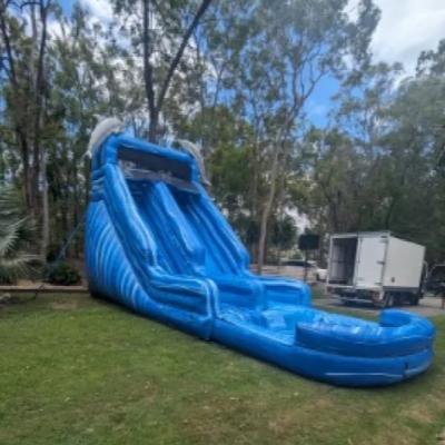 Dolphin Splash Waterslide Inflatable thumbnail 2