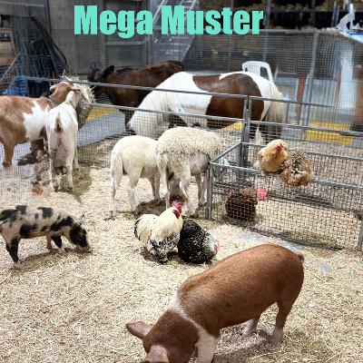 Mega Muster Farm thumbnail 1