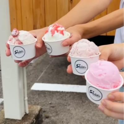 Gelato Food Truck Package- (181-210 people) thumbnail 2