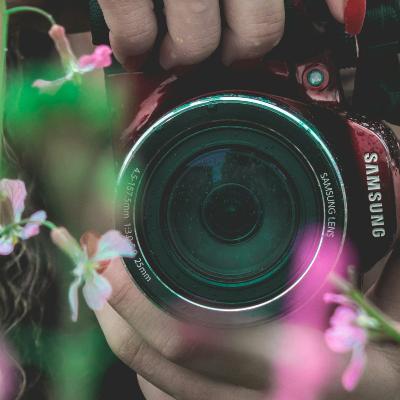 flower thumbnail 3