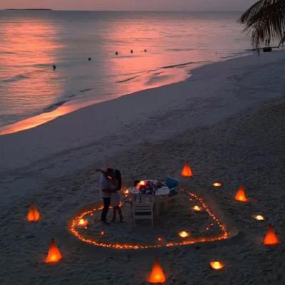 Romantic Picnic setup with food and bubbles (4 Hours) thumbnail 3