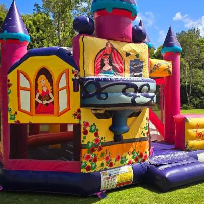 Queen's Castle Jumping Castle thumbnail 1