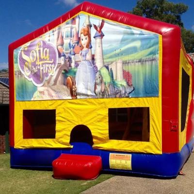 Sofia the 1st Medium Banner Jumping Castle thumbnail 1