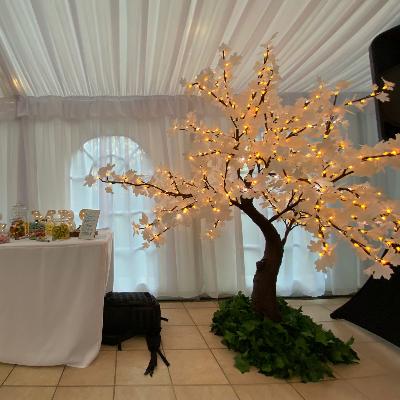 3m LED Tree thumbnail 2