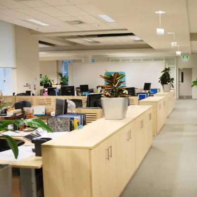 office Desks