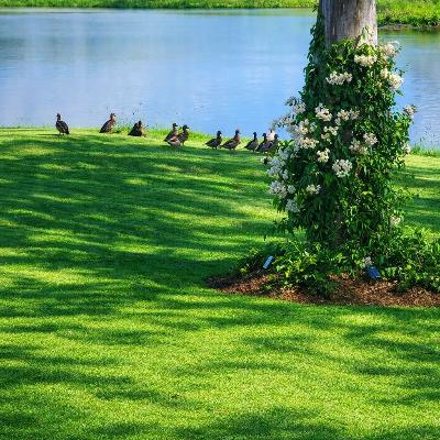 Micro Wedding Ceremony Venue Hire -Tamborine QLD thumbnail 5