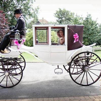 Traditional Wedding Horse & Carriage-Gold Package thumbnail 4