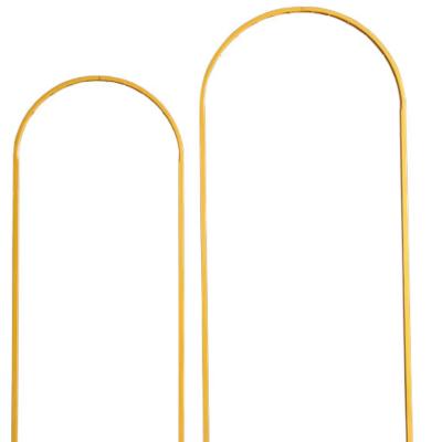 2.2M Gold arch Backdrop thumbnail 2