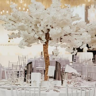 White Table-Top Cherry Blossom tree