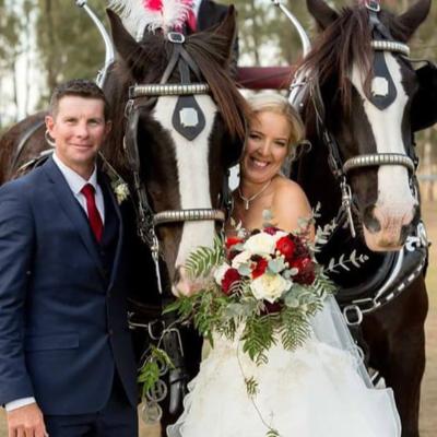 Traditional Wedding Horse & Carriage-Gold Package thumbnail 1