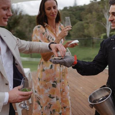 Roaming Oyster Shucking and Caviar (51-90 guests Oysters + caviar)
