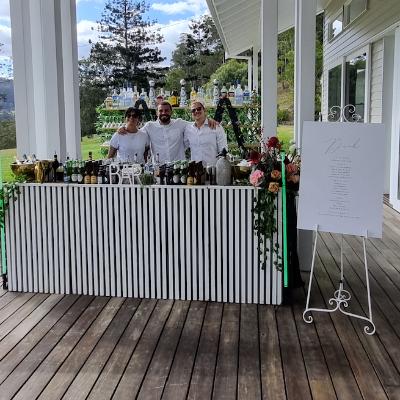 Medium Mobile Bar Party Package - 40-80 Guests