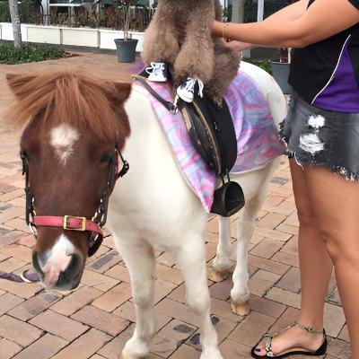 Kids Pony Party (2 ponies)