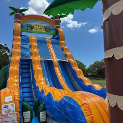20m Tiki Plunge Dual Lane Waterslide thumbnail 3