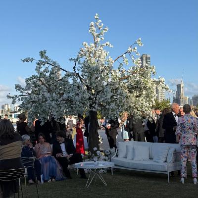 4m White Luxe Blossom Trees (set of 2) thumbnail 2