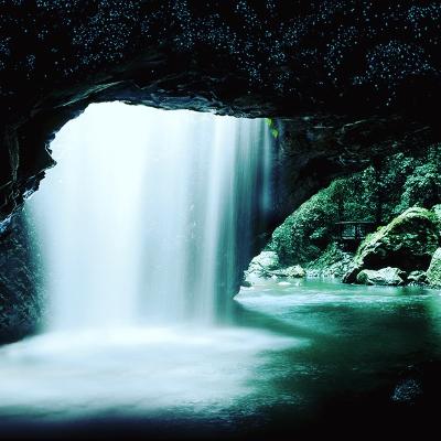 Gold Coast Natural Bridge Glow Worm Night Tour (Adults)