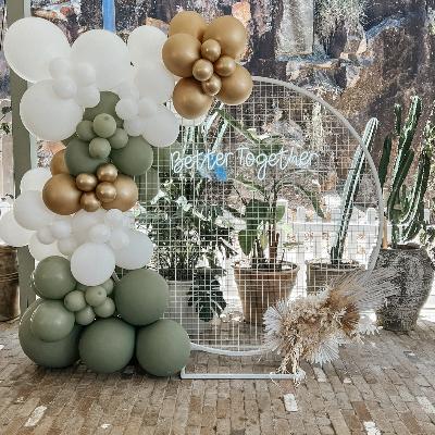 White Round Mesh Backdrop