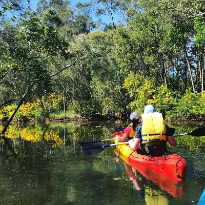 Double Kayak thumbnail 3
