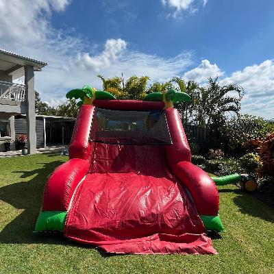 Jungle Obstacle Inflatable
