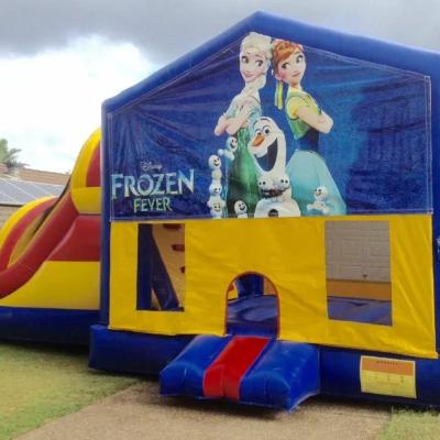 Frozen Fever Large Banner Jumping Castle