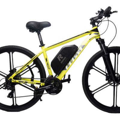 RENAG ebike thumbnail 3