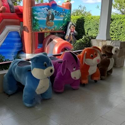 Ride on Animals (5 or more animals)