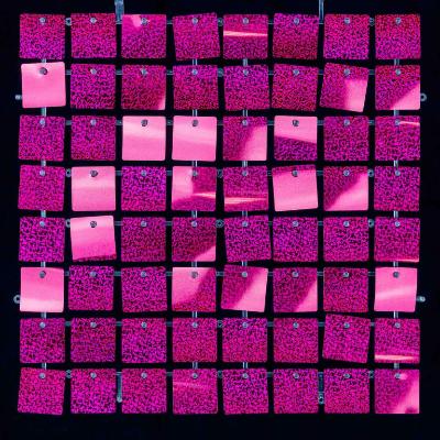 Shimmer Wall Backdrop Pink
