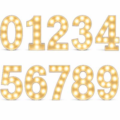 LED - 1.2 m high  White Light up Number 0 1 2 3 4 5 6 7 8 9 (with remote control) thumbnail 1
